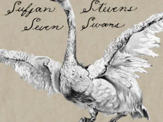 Classic Album Revisited: SUFJAN STEVENS - 'Seven Swans'