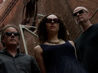 TRACK OF THE DAY: Tulipomania - 'On The Outside'