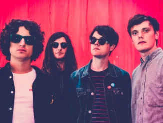 ALBUM REVIEW: Sugarmen - 'Local Freaks'