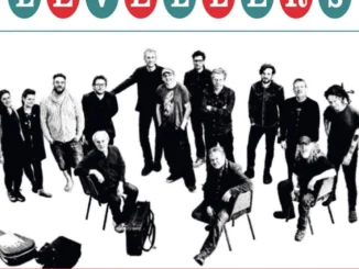 LEVELLERS reveal brand new video for 'McGee' - Watch Now!