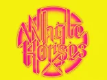 Mancunian psychedelic-pop band WHYTE HORSES release their second album 'Empty Words,' in March