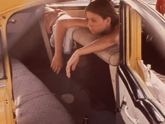 ALBUM REVIEW: Palace Winter - 'Nowadays'