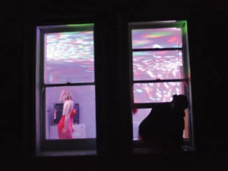 ALBUM REVIEW: Brand New Friend - 'Seatbelts for Airplanes'