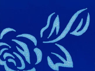 THE WEDDING PRESENT announce (TOMMY 30TH ANNIVERSARY SHOW) @ The Limelight 2, Belfast, Thursday 26th July