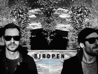 BIRDPEN will release their new studio album 'There's Something Wrong With Everything' in early autumn