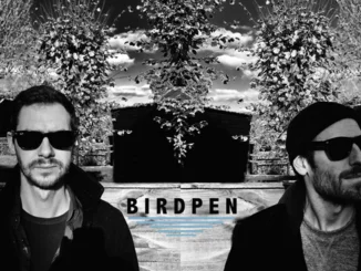 BIRDPEN will release their new studio album 'There's Something Wrong With Everything' in early autumn