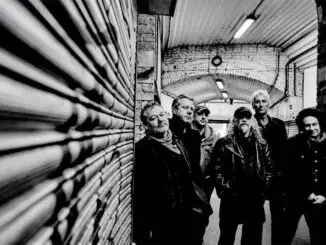 THE LEVELLERS announce limited edition vinyl releases