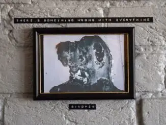 ALBUM REVIEW: Birdpen -There’s Something Wrong With Everything