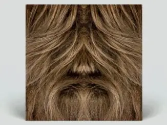 SUPER FURRY ANIMALS at the BBC to be released as deluxe vinyl box set 1