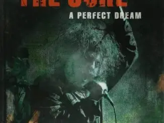 BOOK REVIEW: The Cure: A Perfect Dream  By Ian Gittins 1