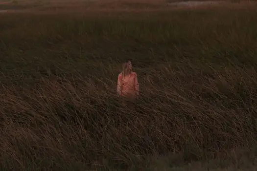THE JAPANESE HOUSE shares video for new single ‘LILO’ - Watch Now 