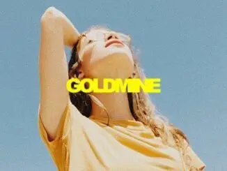 TRACK OF THE DAY: PALASTIC - 'Goldmine' - Listen Now