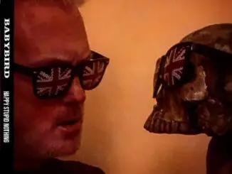 VIDEO PREMIERE: Babybird - King Of Nothing - from new album Happy Stupid Nothing out March 1