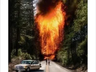 ALBUM REVIEW: Ladytron - 'Ladytron'