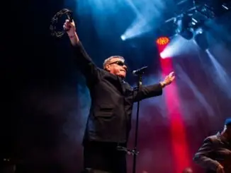 IN FOCUS// Madness + Ian Broudie & the Lightning Seeds @ Custom House Square, Belfast 1
