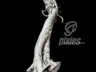 ALBUM REVIEW: Pixies - Beneath the Eyrie