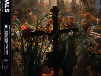 ALBUM REVIEW: Foals - Everything Not Saved Will Be Lost Pt 2