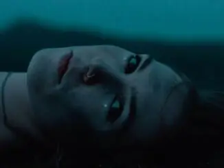 VIDEO PREMIERE: Firewoodisland - 'Hollow Coves' - Watch Now