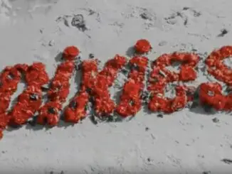 PIXIES release new video for 'Long Rider' - Watch Now