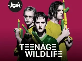 INTERVIEW: Tim Wheeler on Teenage Wildlife: 25 Years Of Ash 3