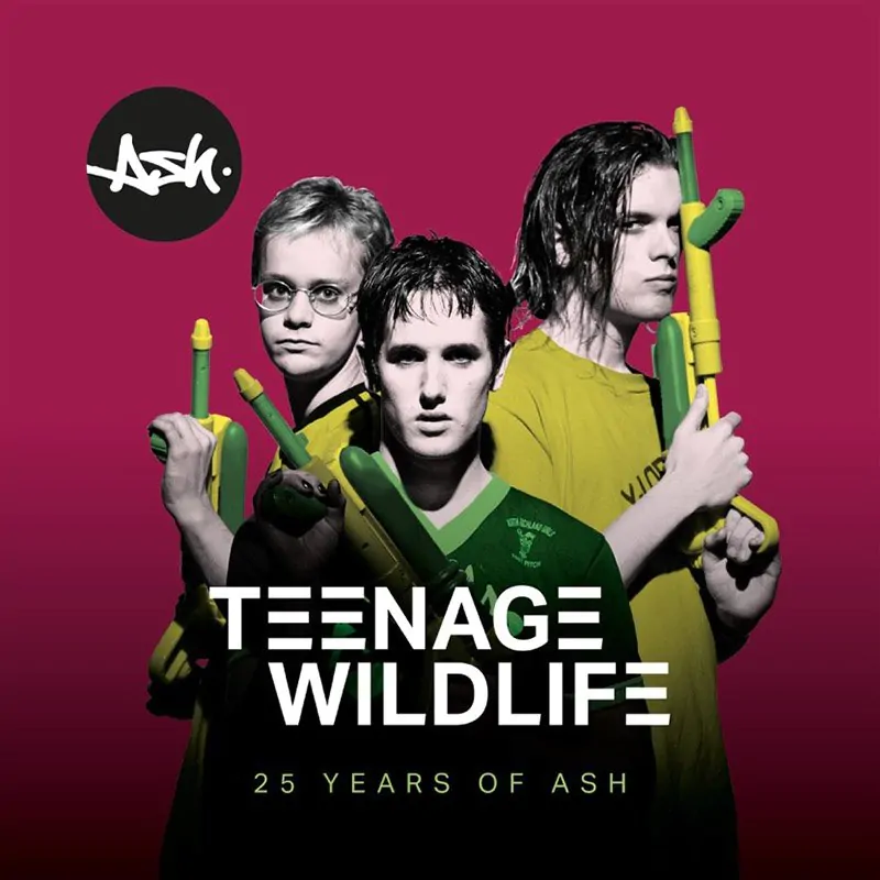 INTERVIEW: Tim Wheeler on Teenage Wildlife: 25 Years Of Ash 84 Ash