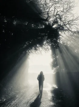 ROGER O’DONNELL (of The Cure) releases new single 'The Haunt' 