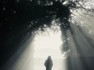 ROGER O’DONNELL (of The Cure) releases new single 'The Haunt'