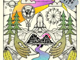 ALBUM REVIEW: Badly Drawn Boy - Banana Skin Shoes