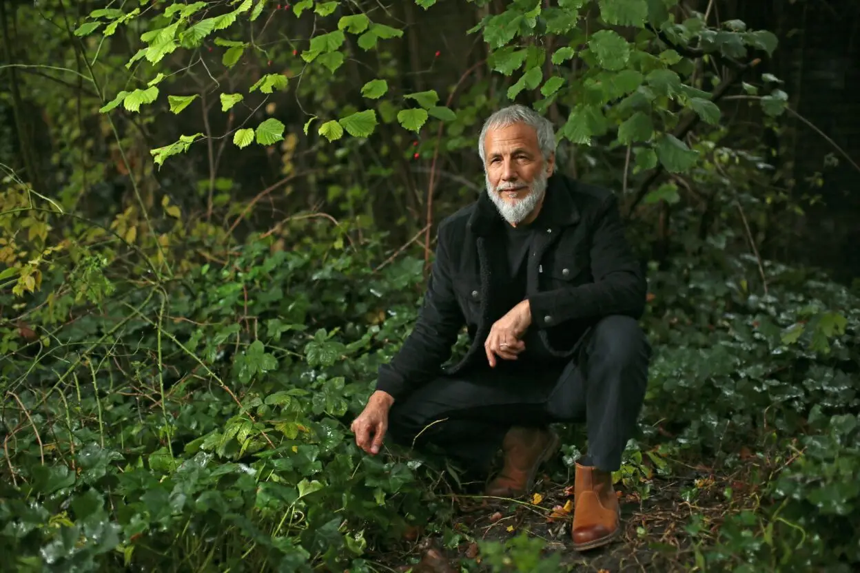 YUSUF / CAT STEVENS announces Tea for the Tillerman² - reimagined 50 years later 1