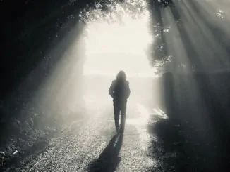 ROGER O’DONNELL (of The Cure) releases new video for 'December' - Watch Now 1