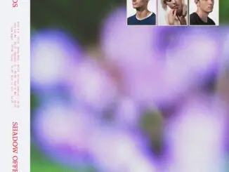 ALBUM REVIEW: Braids - Shadow Offering