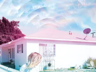 ALBUM REVIEW: Vita and the Woolf - Anna Ohio