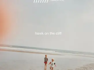 Listen to 'Hawk On The Cliff' from Joshua & Connor Burnside's new project /////// [seacht líne]