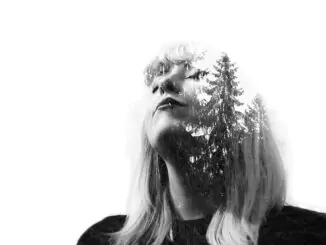 PREMIERE: Broken Forest releases Christmas single 'Stories Under the Pine Tree'