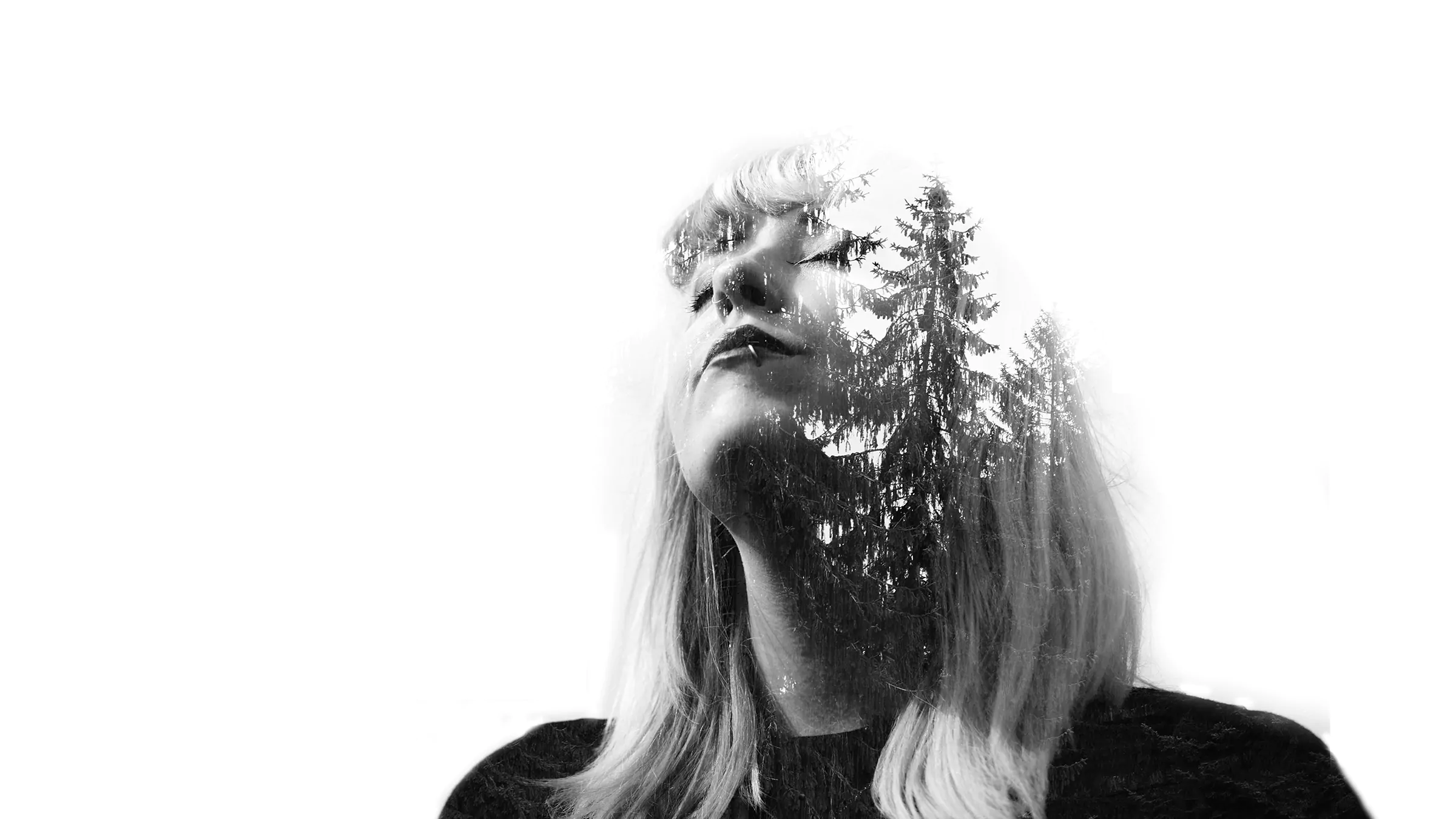 PREMIERE: Broken Forest releases Christmas single ‘Stories Under the Pine Tree’