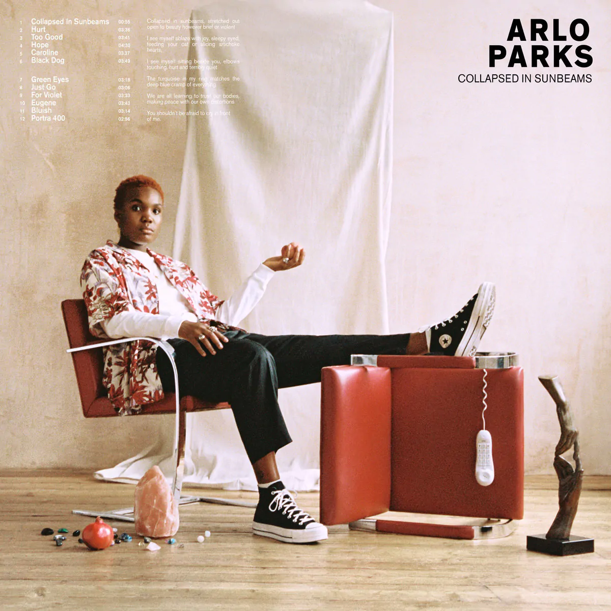 ALBUM REVIEW: Arlo Parks – Collapsed in Sunbeams