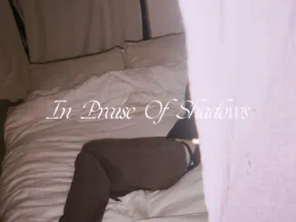 ALBUM REVIEW: Puma Blue - In Praise Of Shadows