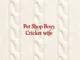 PET SHOP BOYS announce the release of their brand new track ‘Cricket Wife’ on May 7th 2