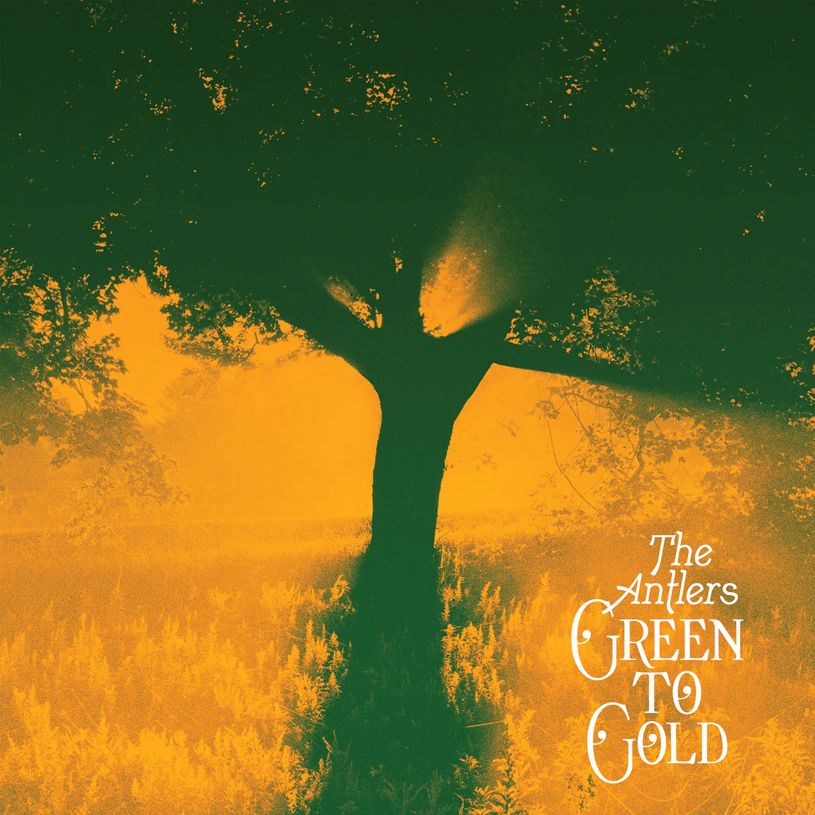ALBUM REVIEW: The Antlers - Green to Gold 