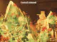 ALBUM REVIEW: The Coral - Coral Island