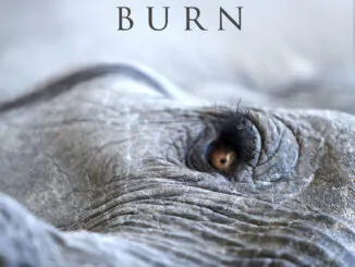 ALBUM REVIEW: Lisa Gerrard and Jules Maxwell – Burn
