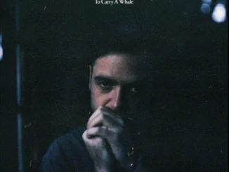 ALBUM REVIEW: Benjamin Francis Leftwich - To Carry A Whale