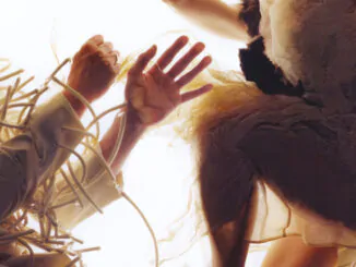 ALBUM REVIEW: LUMP - Animal