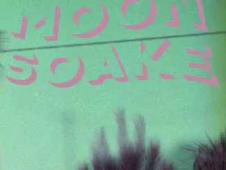 ALBUM REVIEW: Wynona Bleach - Moonsoake