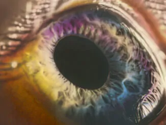 ALBUM REVIEW: Arcade Fire - WE