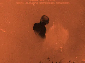 DURAN DURAN share 'All of You' (Erol Alkan extended rework)