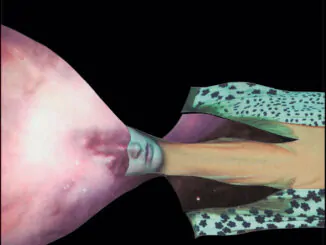 ALBUM REVIEW: Painted Shield – Painted Shield 2