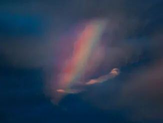 Pool Kids - Pool Kids