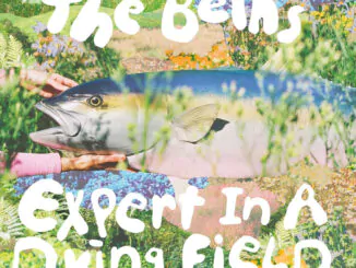 The Beths – Expert In A Dying Field