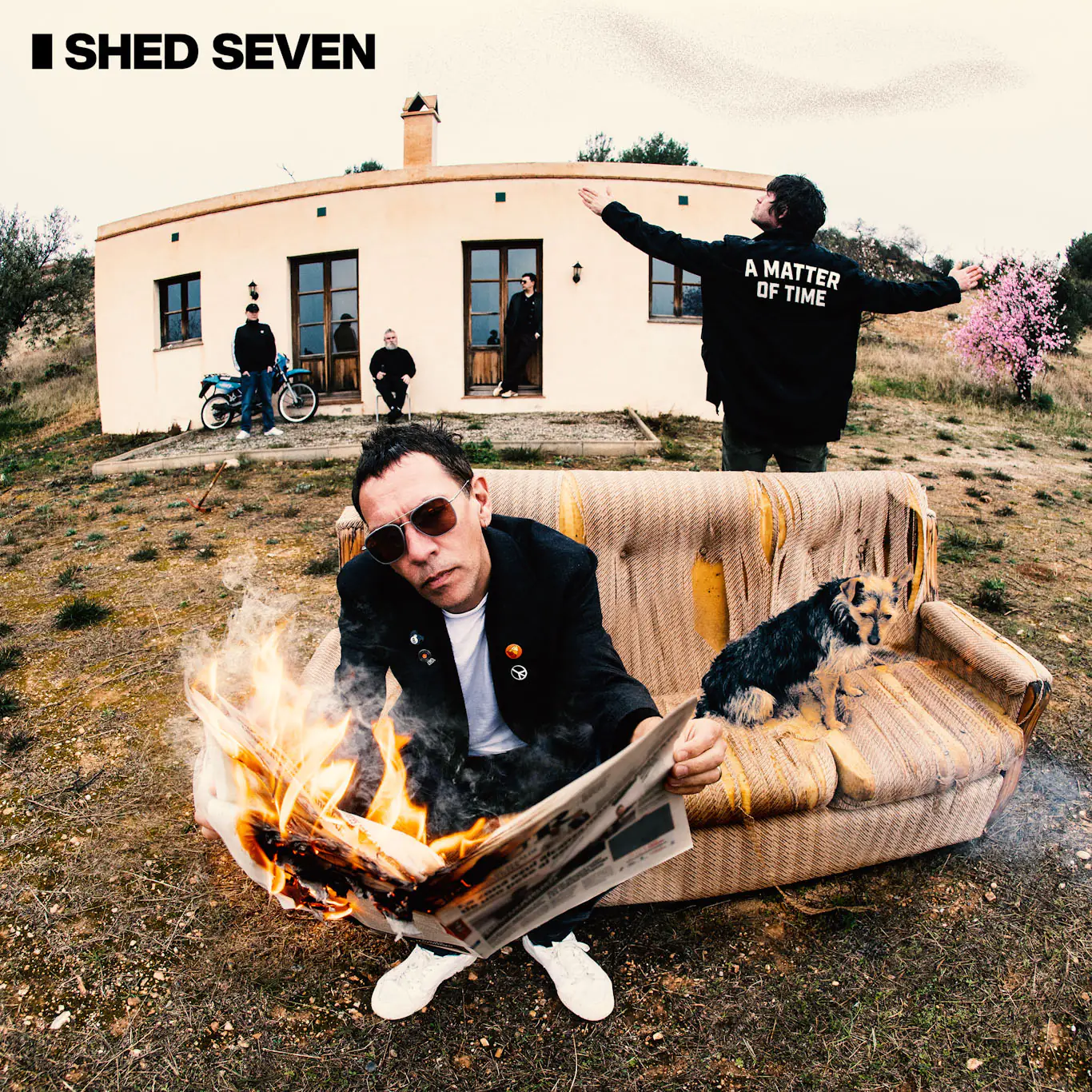 shed seven